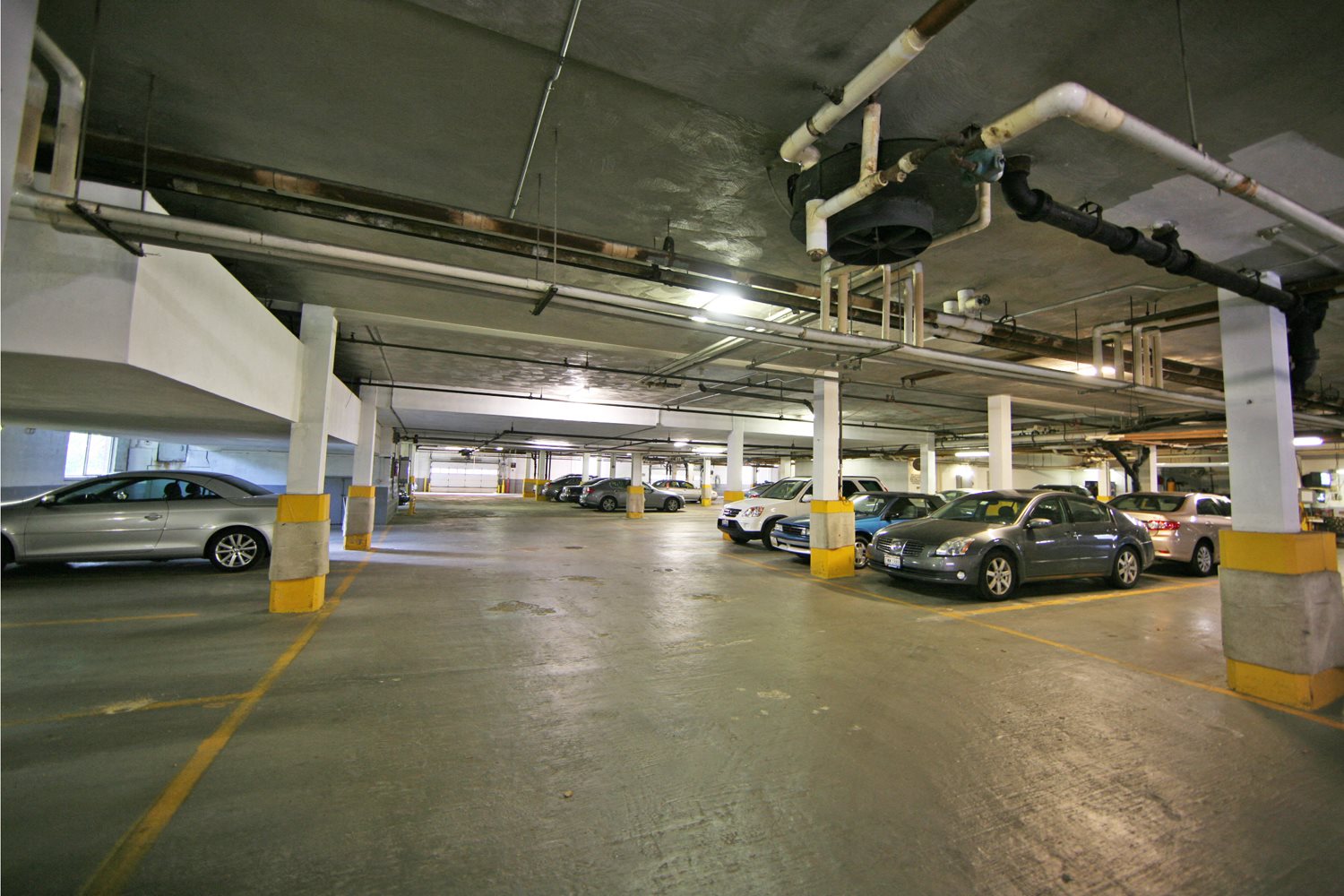 Gallery Photo 16